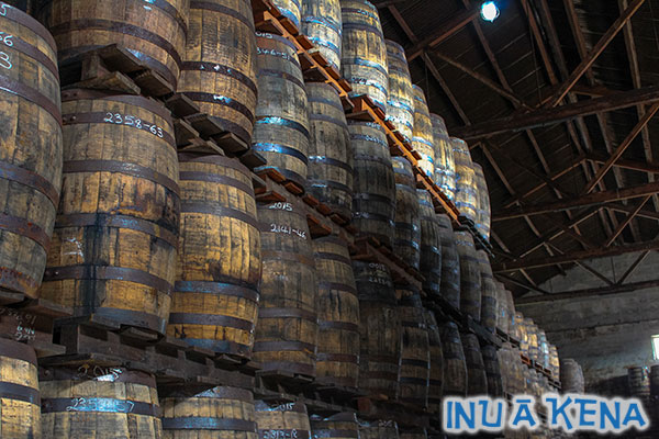 West Indies Rum Distillery Barrel Storage
